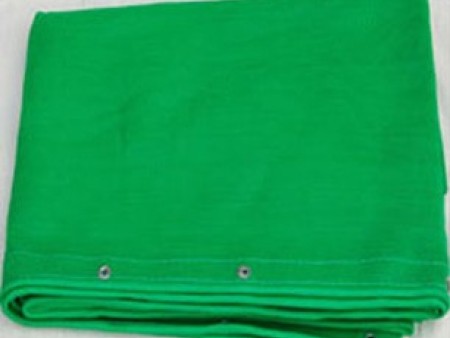 廣西阻燃(ran)密目網 密(mi)目式安全(quan)網批發